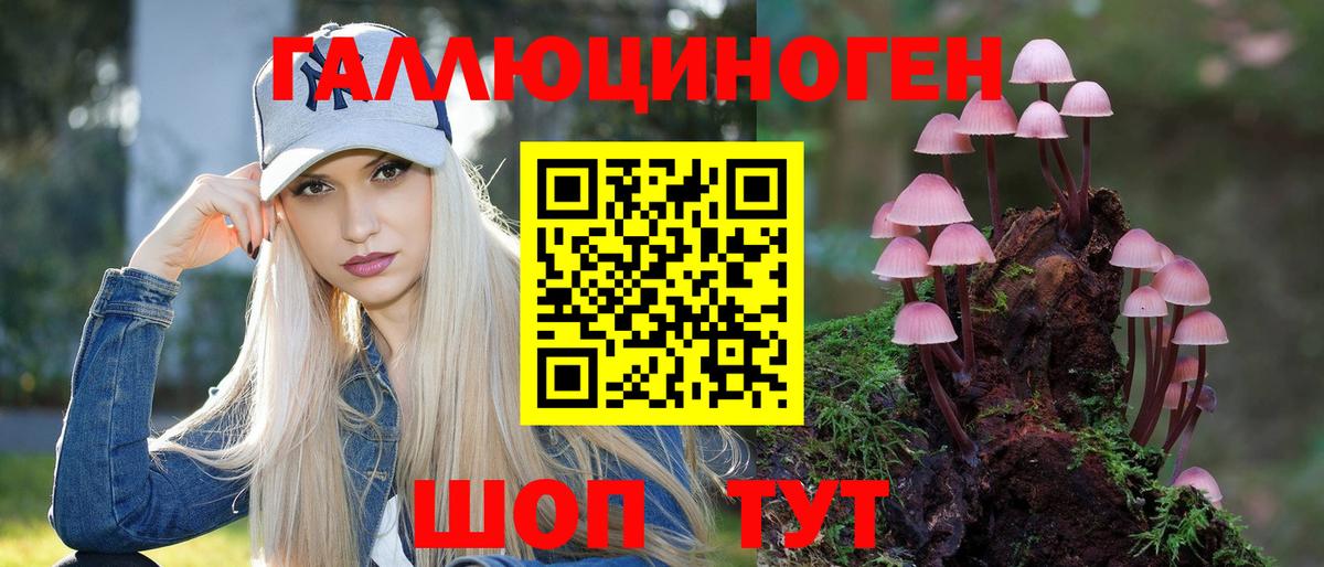 Псилоцибиновые грибы Psilocybe Углич