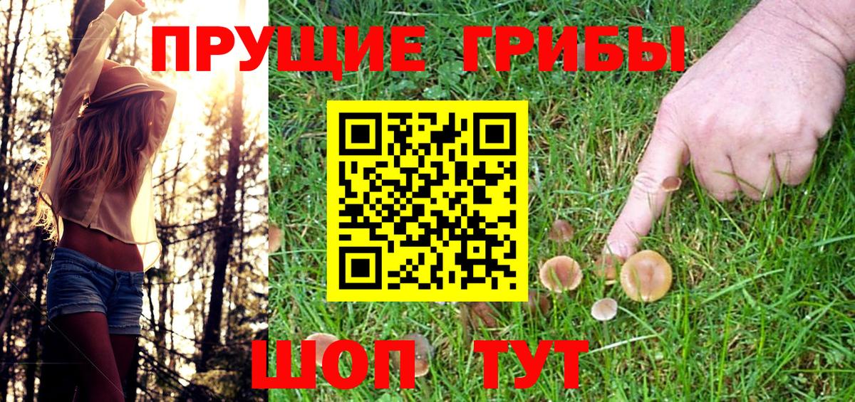 Галлюциногенные грибы Cubensis  купить наркотики цена  Углич  Вход с VPN 